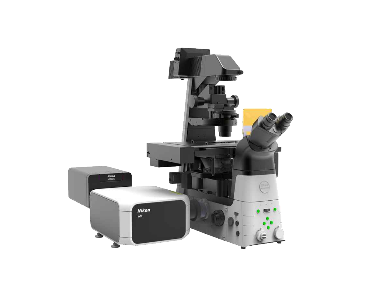 Confocal Microscopes